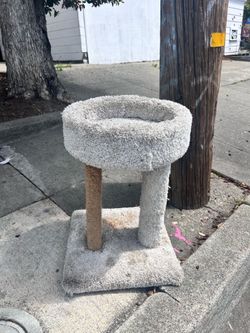 Free Mini Cat Tree