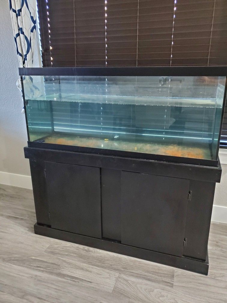 75 Gallon Fish Tank