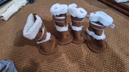 Dog shoes