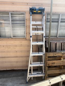 Werner Ladder