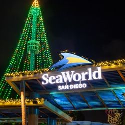 🎡🐬 SEA WORLD SAN DIEGO🐬🎡 DEAL 🎟️ DISCOUNT 🎟️