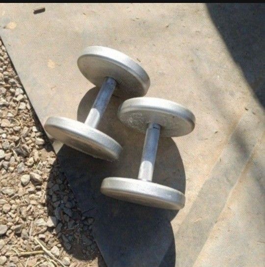Dumbbells 2x32.5lbs