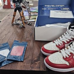 Air Jordan 1 Chicago Developer Boring Premium Sz 11