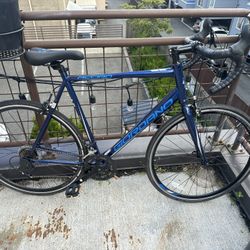 Giordano Acciao Bike