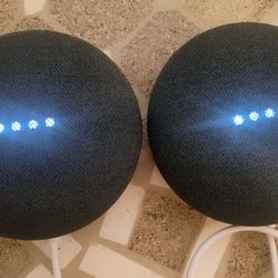Google Nest Mini smart speake