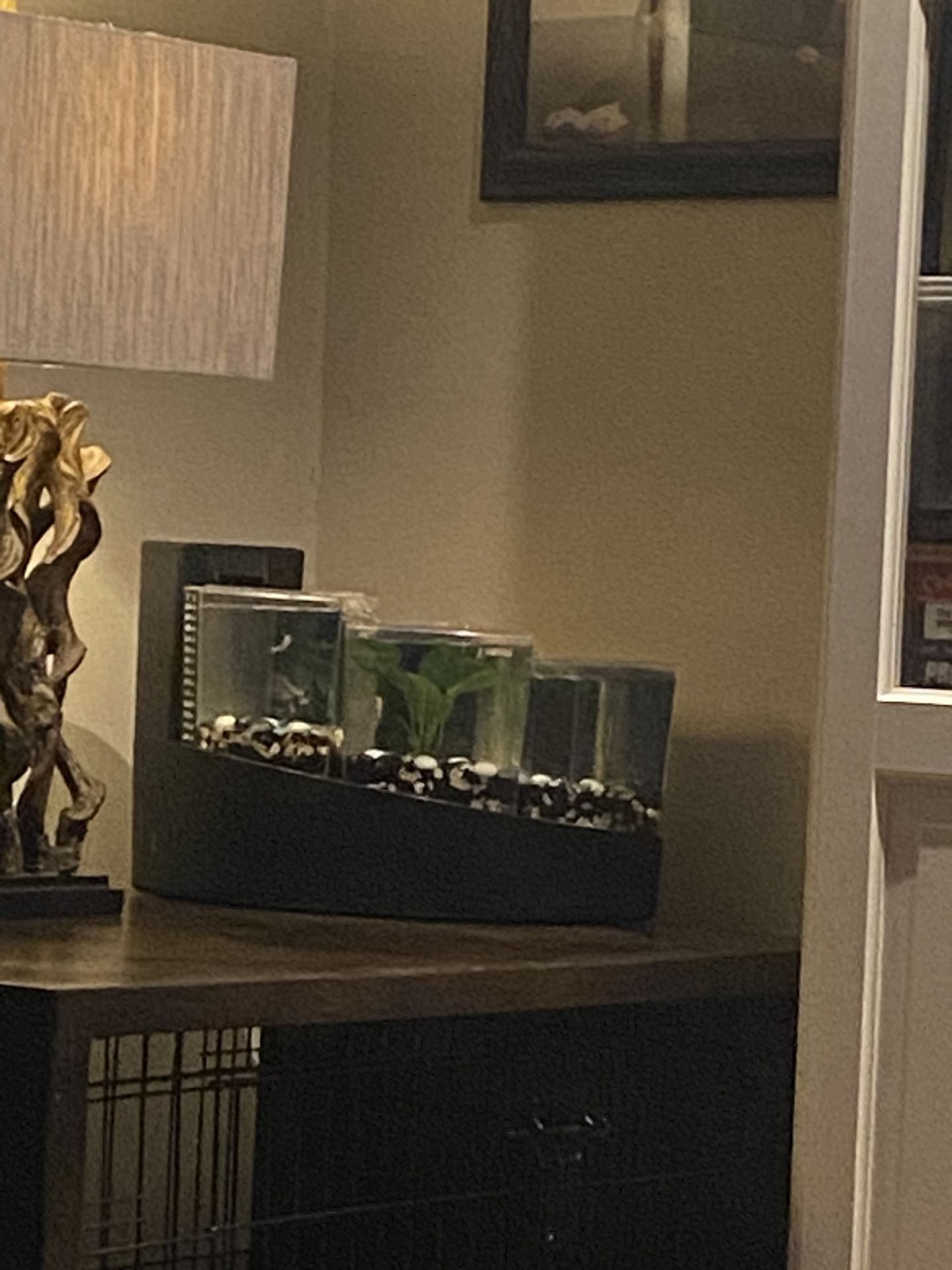 Fish Tank