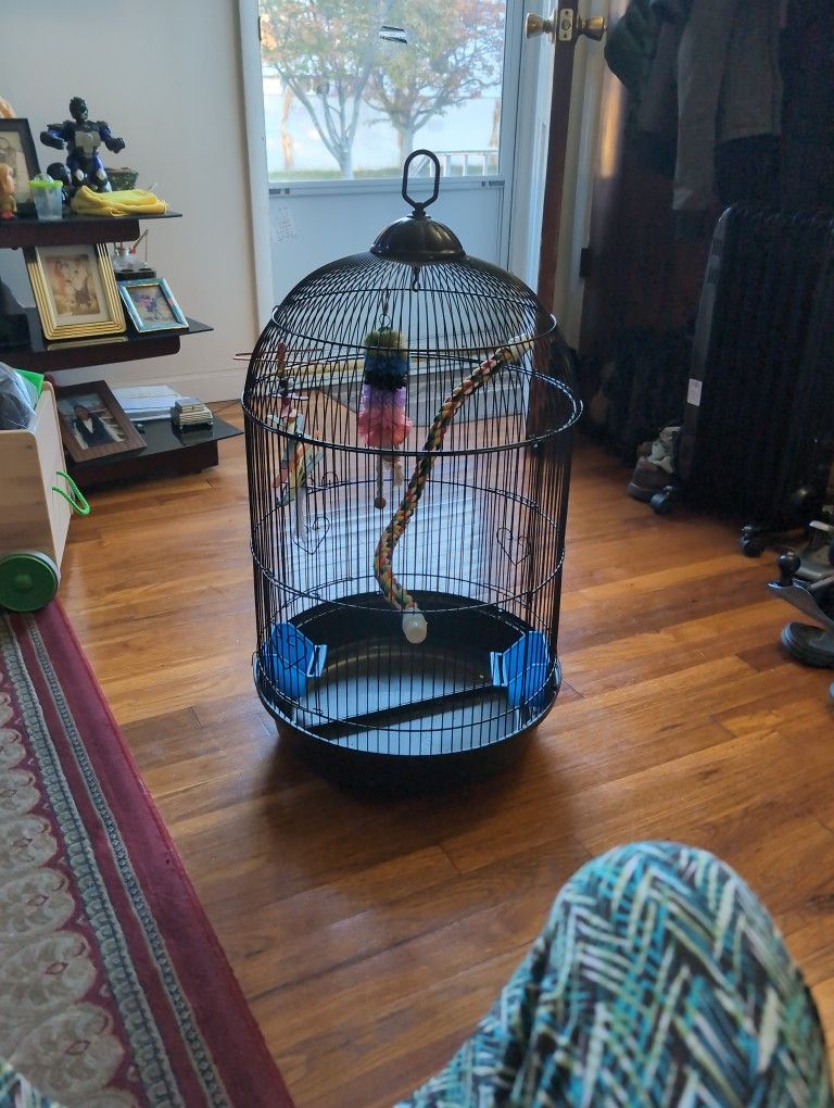 Bird Cage