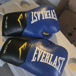 Boxing Gloves 14oz