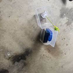 Small Fish Tank And Accessories