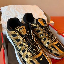 Nike P-6000 Bowerman series