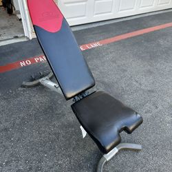 Bowflex Workout Bench