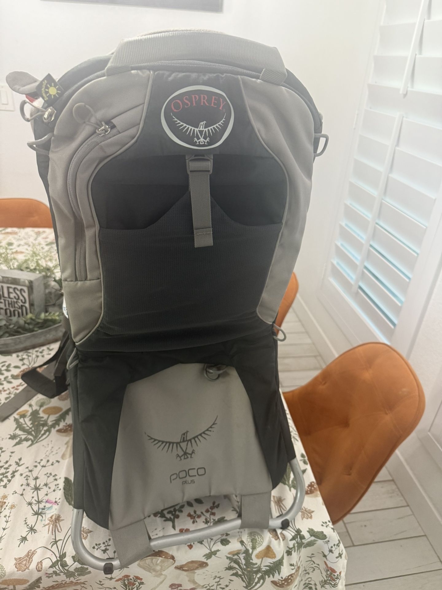 Osprey Poco child carrier backpack