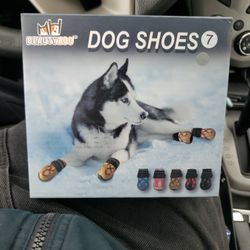 Dog Shoes