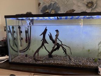 Fish tank