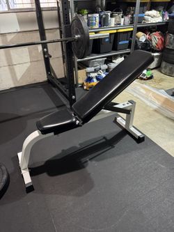 ParaBody — Serious Steel Flat/Incline Adjustable Bench