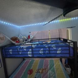 Bunk Beds - Twin And Full