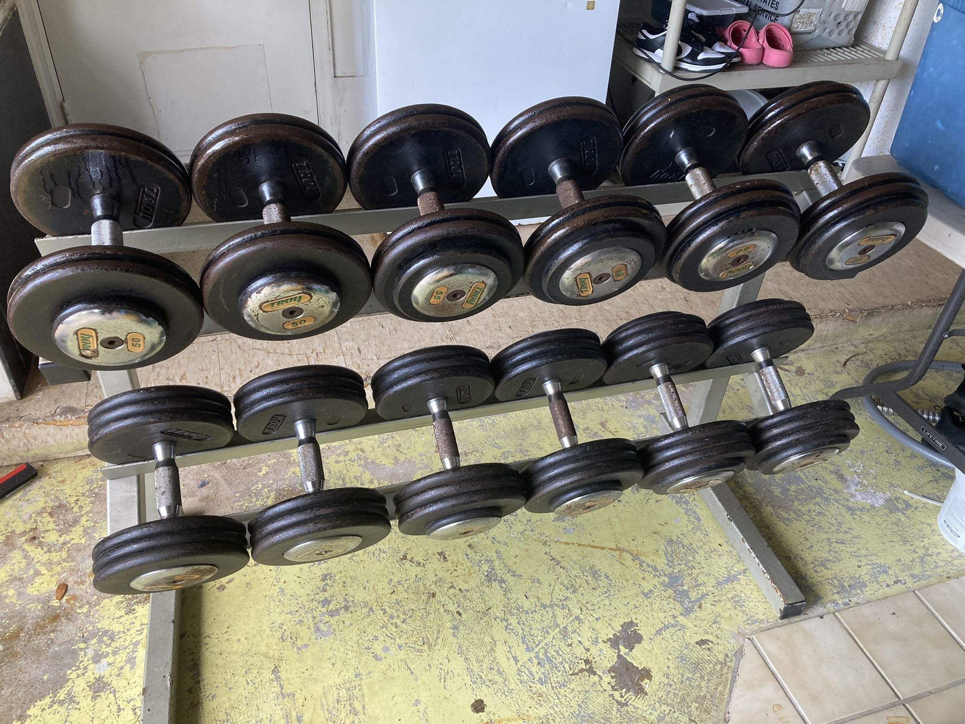 Home Gym Equipment | Bumper Plates | Dumbbells | Barbells | etc