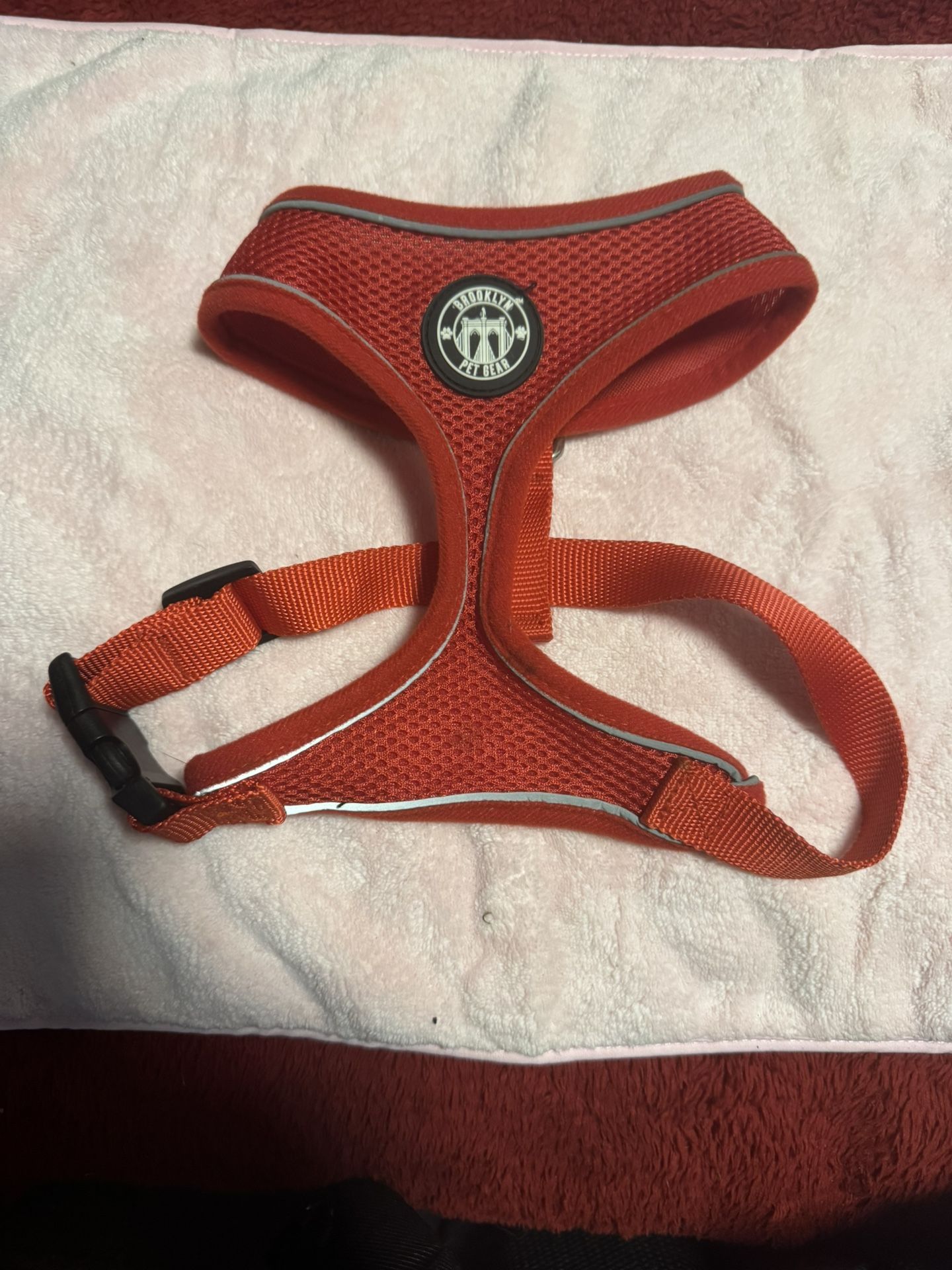 Red dog Harness