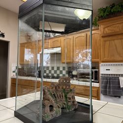 Fish Tank 