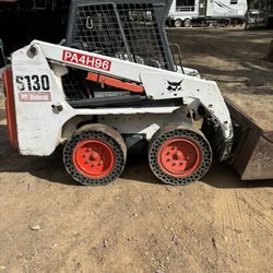 Bobcat 