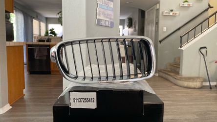 BMW  pair of kidney grills $20