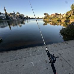 bass pro shops baitcaster 