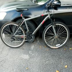 Roadmaster Bike