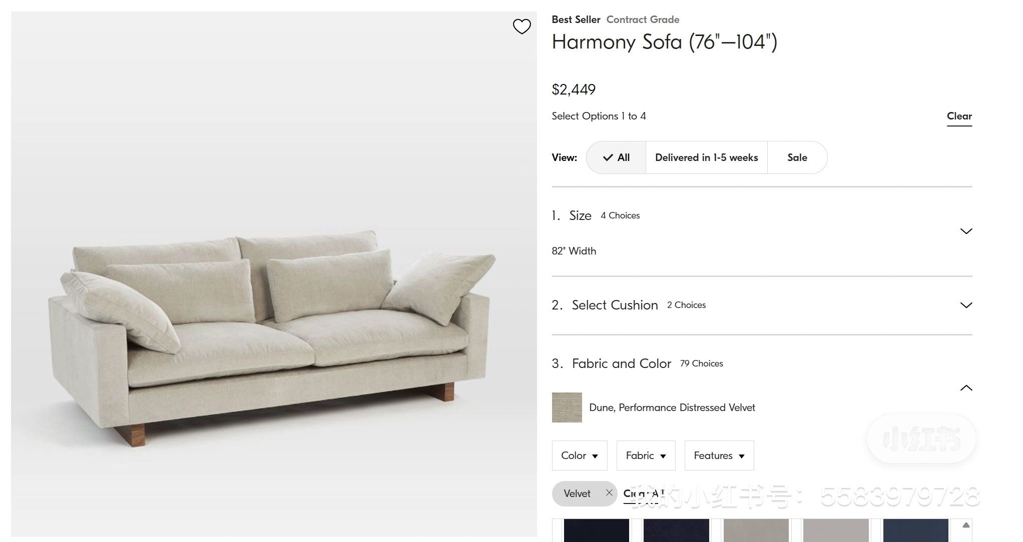 West Elm sofa