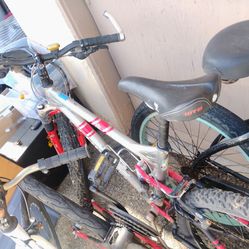 Bikes fixed gear beach cruiser full suspension $130 for all