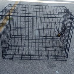 Jaula/ Cage
