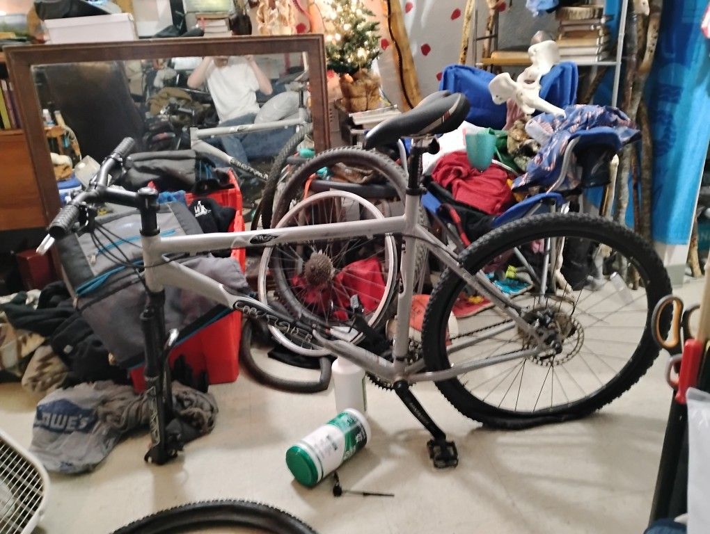 Nice Mountain Bike
