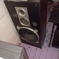 Pioneer 12s speakers