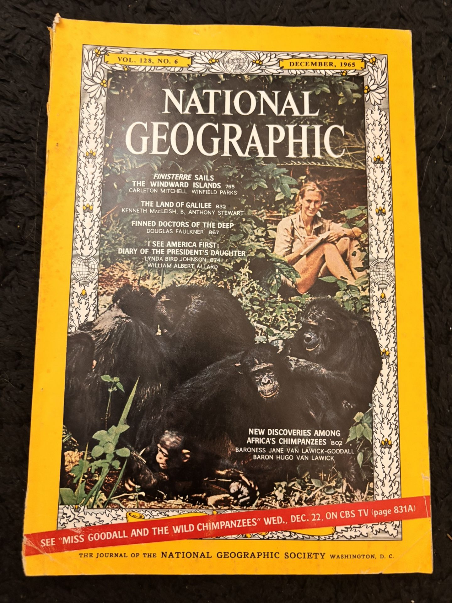 Vintage 1965 National Geographic vol 128, no 6 December Jane Goodall