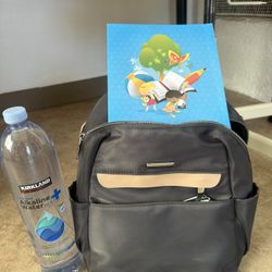Small Purse/backpack