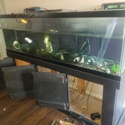Fish tank
