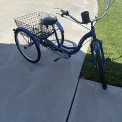 Tricycle Adult 