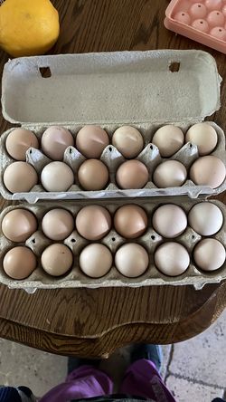 Organic fresh eggs