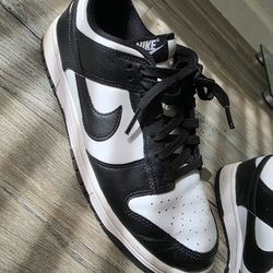 Nikes dunk shoes