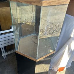 35 Gallon Hexagon Tank
