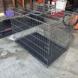 Large Crate
