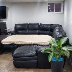 L SHAPED SLEEPER SOFA