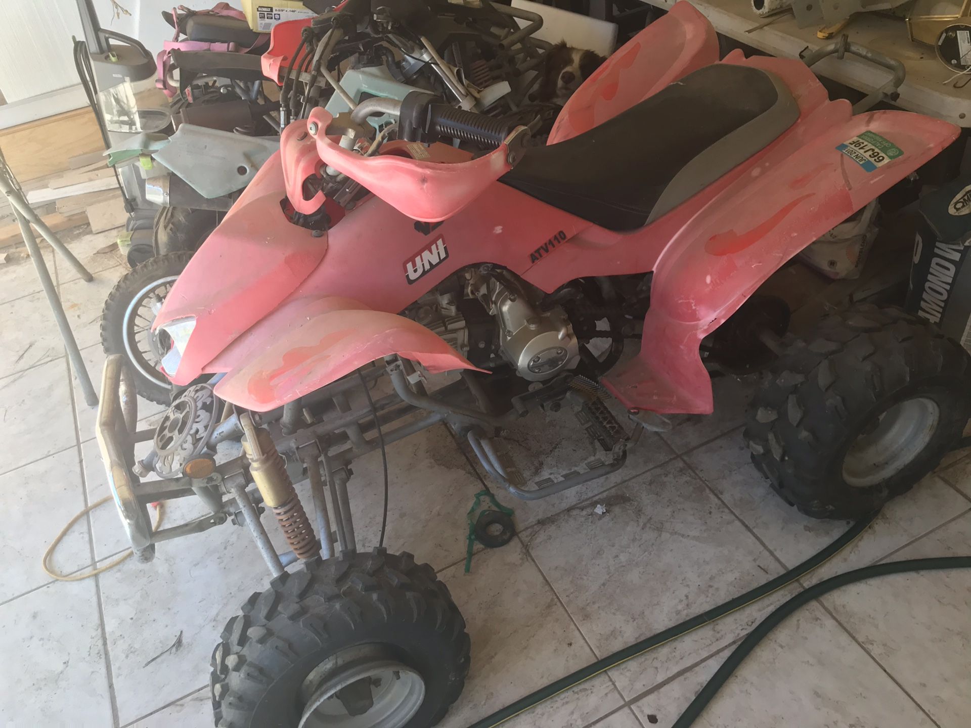 Quads