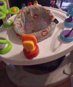 Salary steps walker baby