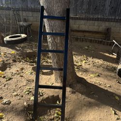 Metal Ladder 
