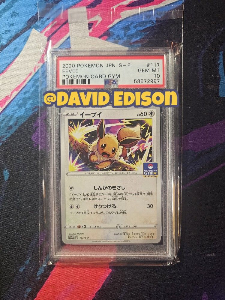 2020 Pokemon Japanese Card Gym Promo Eevee 117/S-P PSA Gem Mint 10