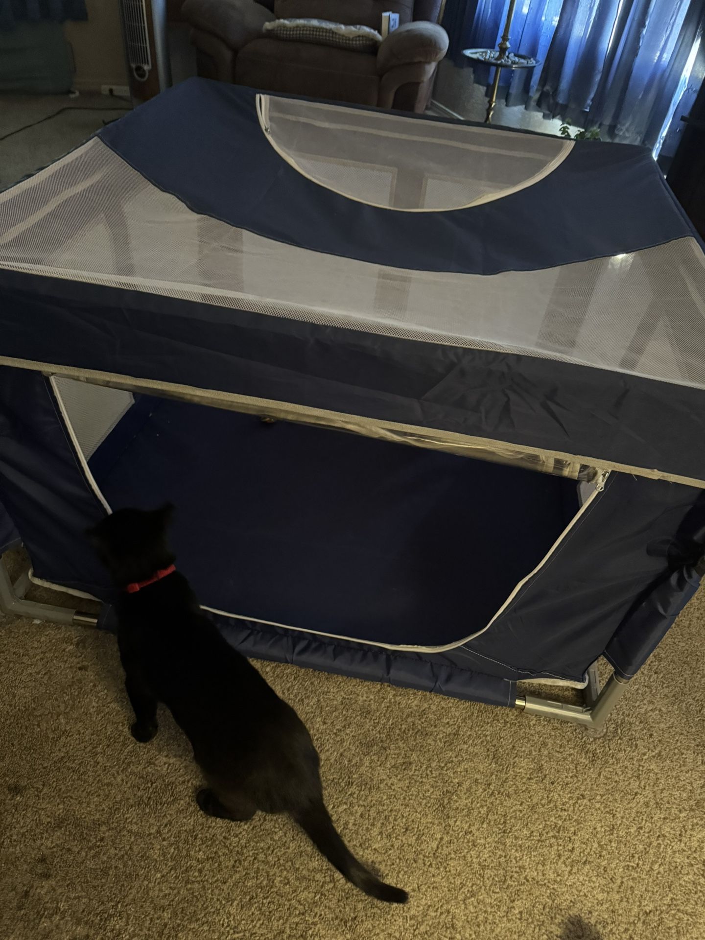 Kitty/ Puppy Play Pen