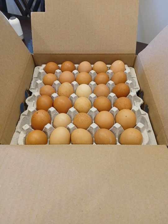 Organic Cage Free Eggs
