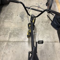 Custom Bmx
