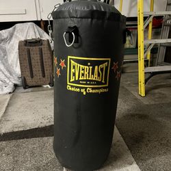 Everlast Bag With Gloves!!! 🥊