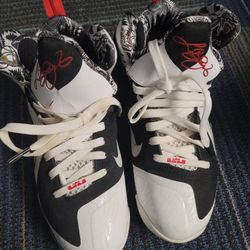 Lebron 9
